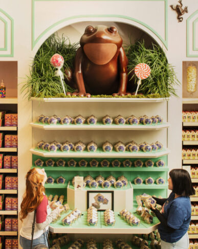 Chocolate Frog confectionary wall at Harry Potter Shop New York