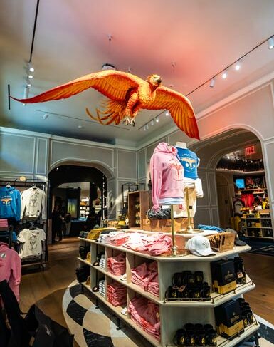 Magical Shopping Experiences - Harry Potter New York